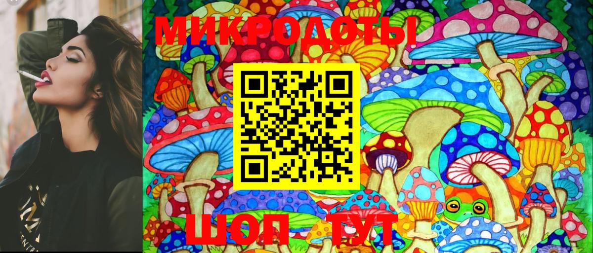 Кингисепп  Галлюциногенные грибы Magic Shrooms  Вход с VPN 
